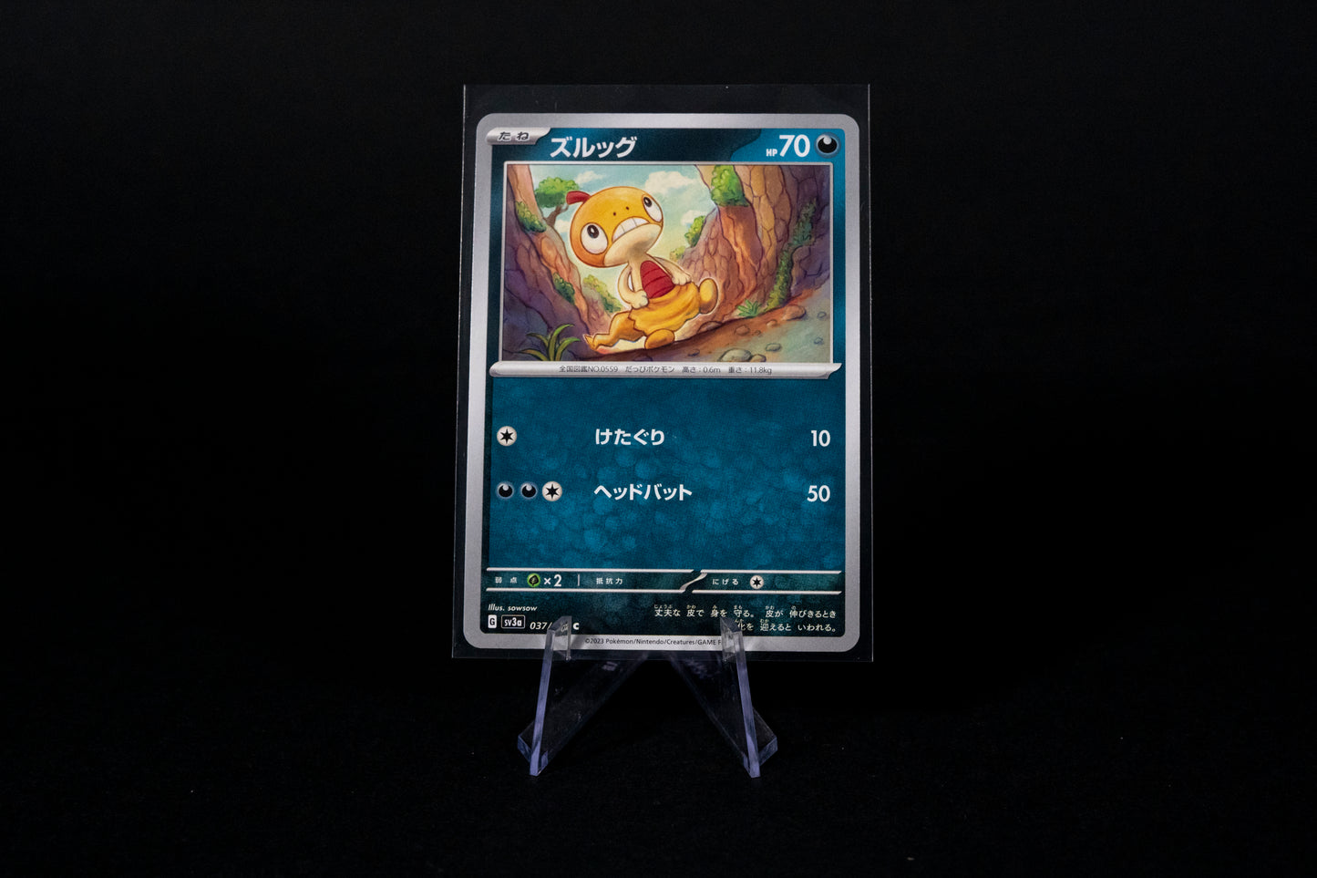 037/062, Scraggy, Pokemon, Raging Surf, SV3a, 2023, Common, Ungraded, Japanese