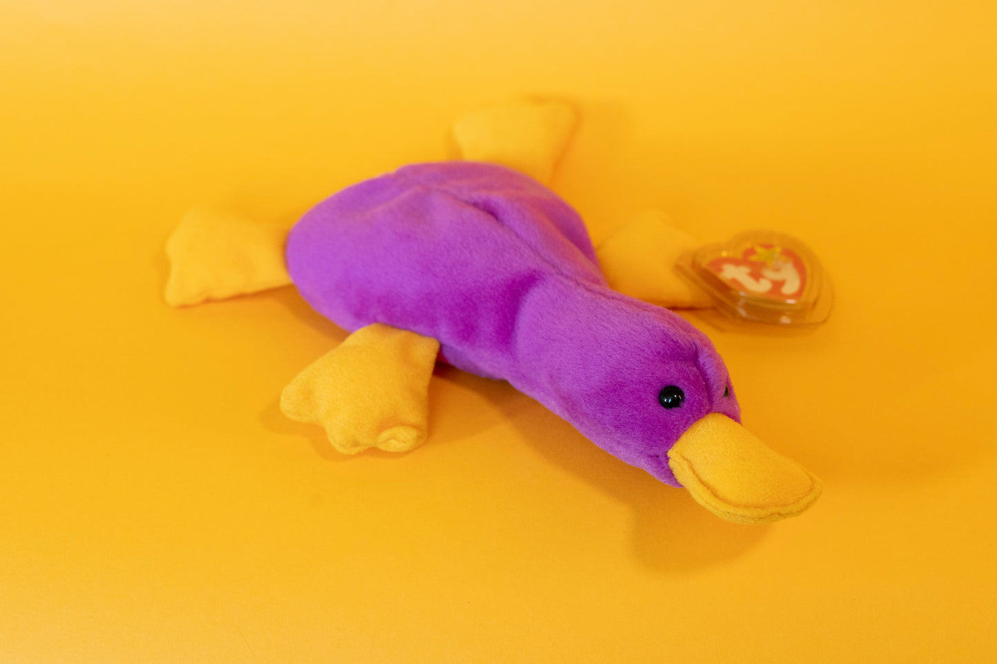 Patti (Platypus) - TY Beanie Babies - PVC Pellets - Tag in Protector - Excellent Condition