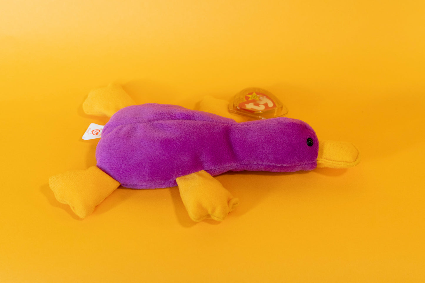Patti (Platypus) - TY Beanie Babies - PVC Pellets - Tag in Protector - Excellent Condition