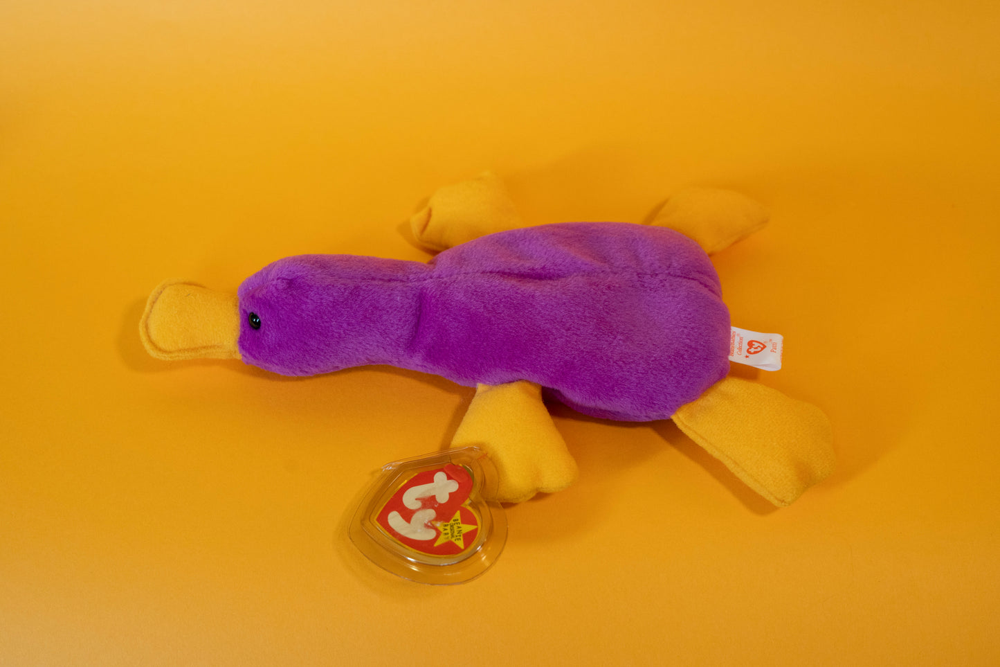 Patti (Platypus) - TY Beanie Babies - PVC Pellets - Tag in Protector - Excellent Condition