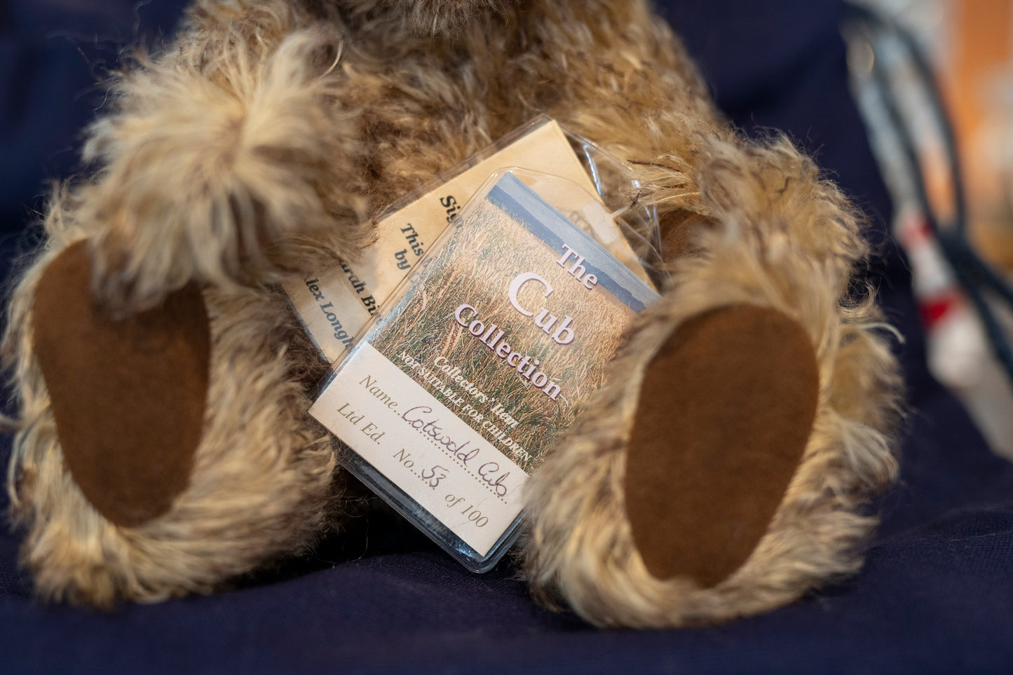 'Cotswold Cub' Mohair Teddy Bear - The Cub Collection, Cotswold Bear Co., Aprox. 28cm, Limited Edition 53 of 100, with dust bag