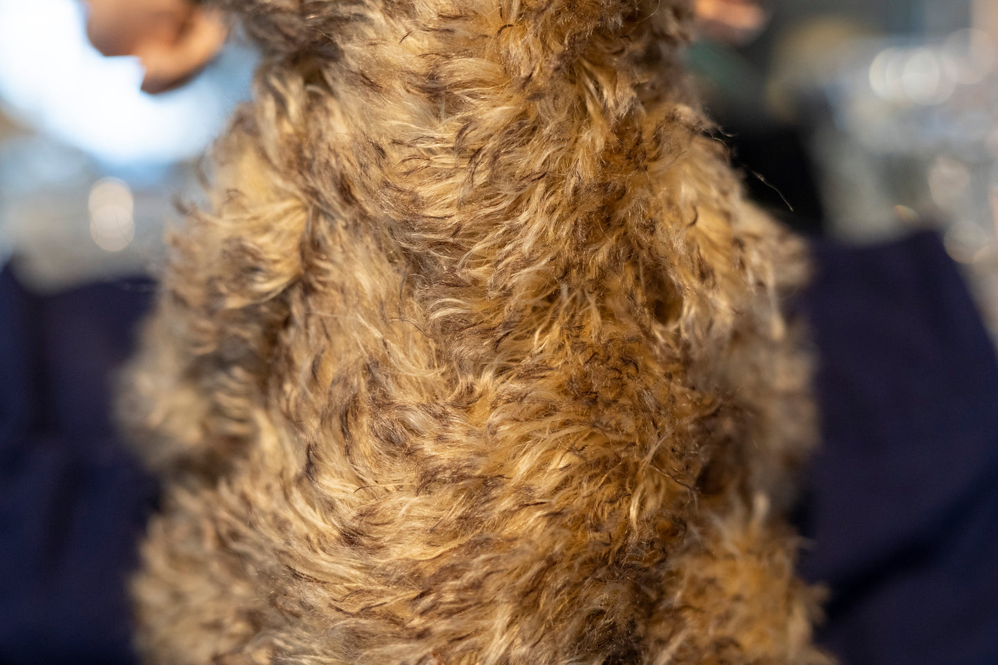 'Cotswold Cub' Mohair Teddy Bear - The Cub Collection, Cotswold Bear Co., Aprox. 28cm, Limited Edition 53 of 100, with dust bag