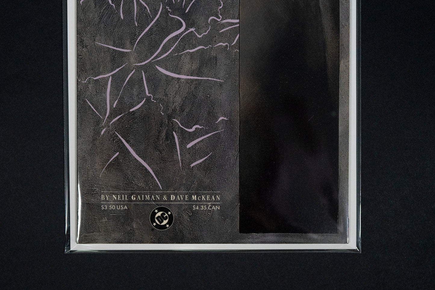 Black Orchid, Book 2, DC Comics, Gaiman McKean