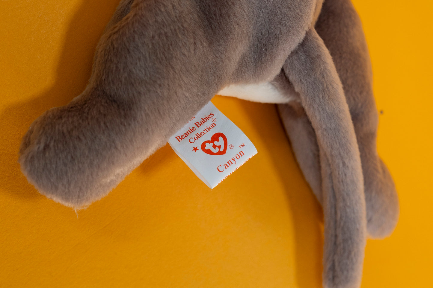 Canyon (Cougar - Cat) - TY Beanie Babies - Tag in Protector - Excellent Condition