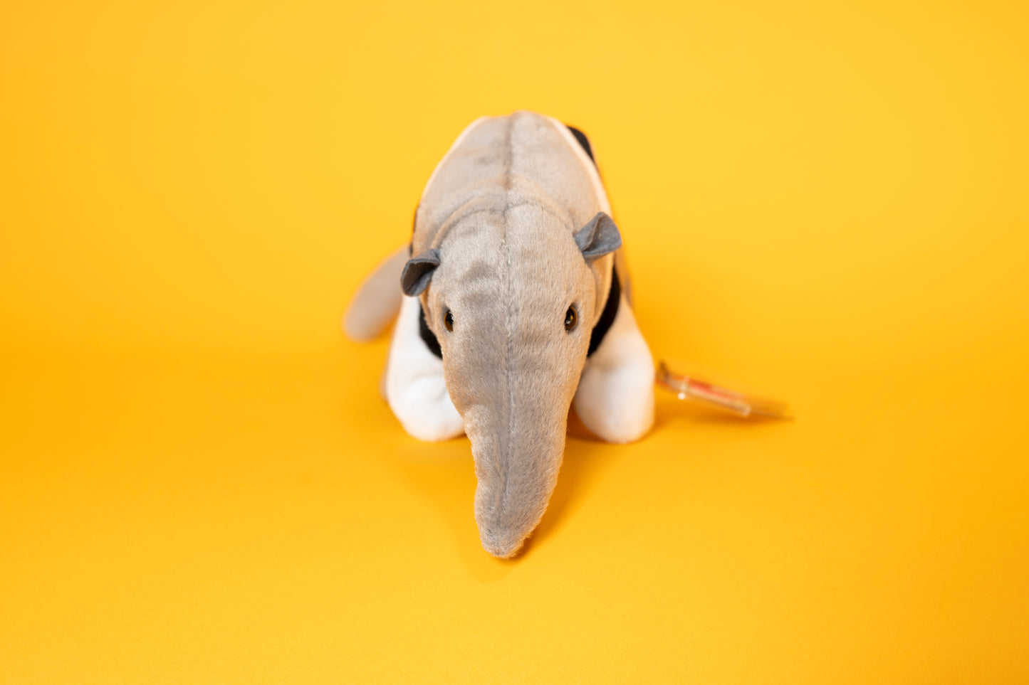 Ants (Anteater) - TY Beanie Babies - Tag in Protector - Excellent Condition