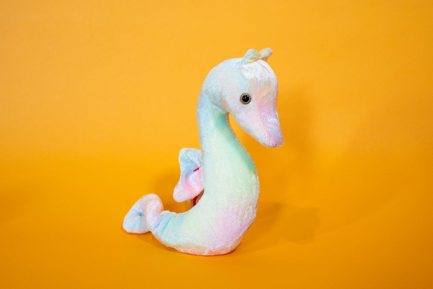 Neon (Seahorse) - TY Beanie Babies - Tag in Protector - Excellent Condition