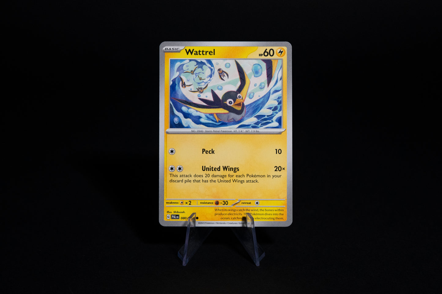 080/193, Wattrel, Pokemon, Scarlet & Violet, Paldea Evolved, 2023, Common, Ungraded, English