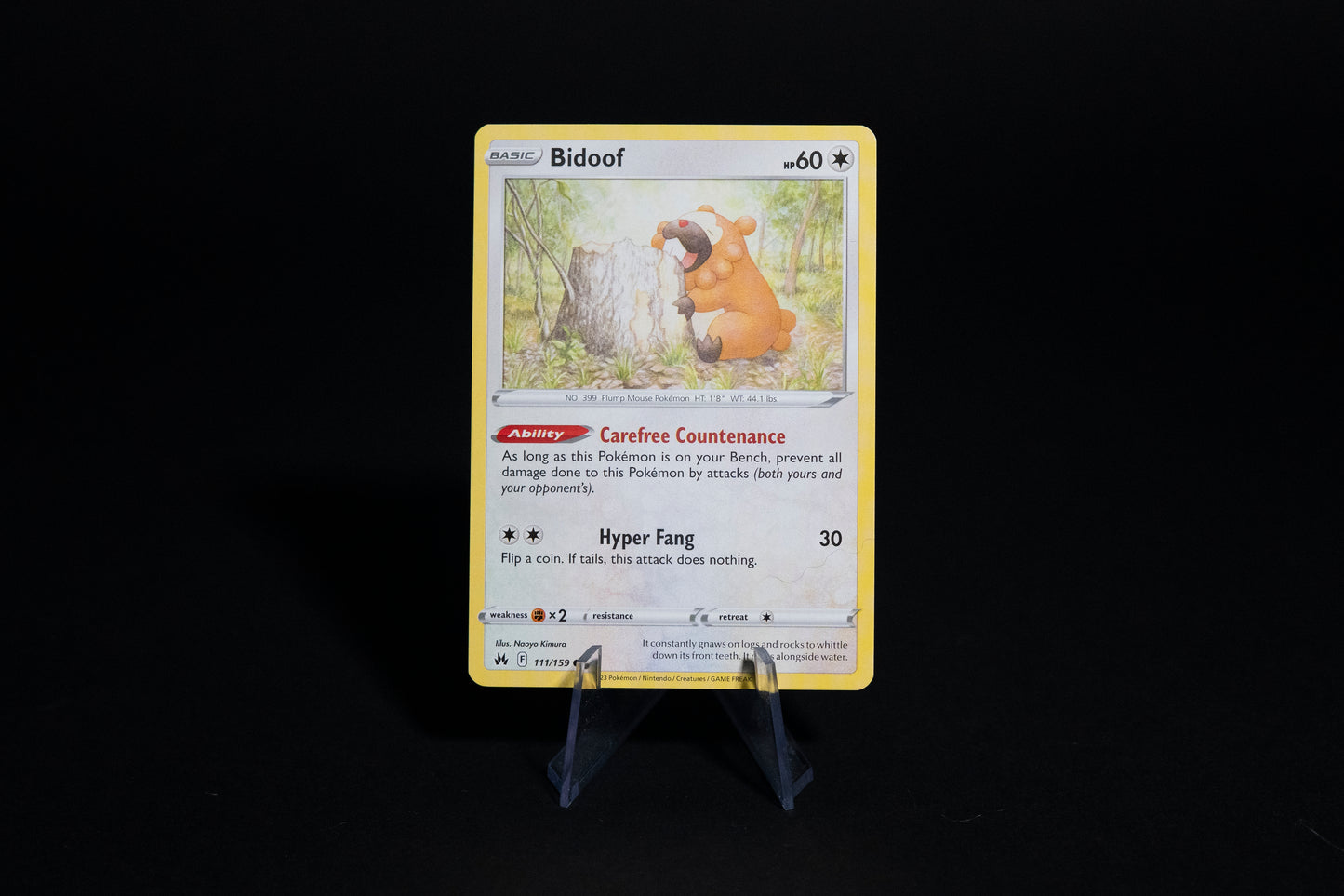 111/159, Bidoof, Pokemon, Crown Zenith, 2023, Common, Ungraded, English