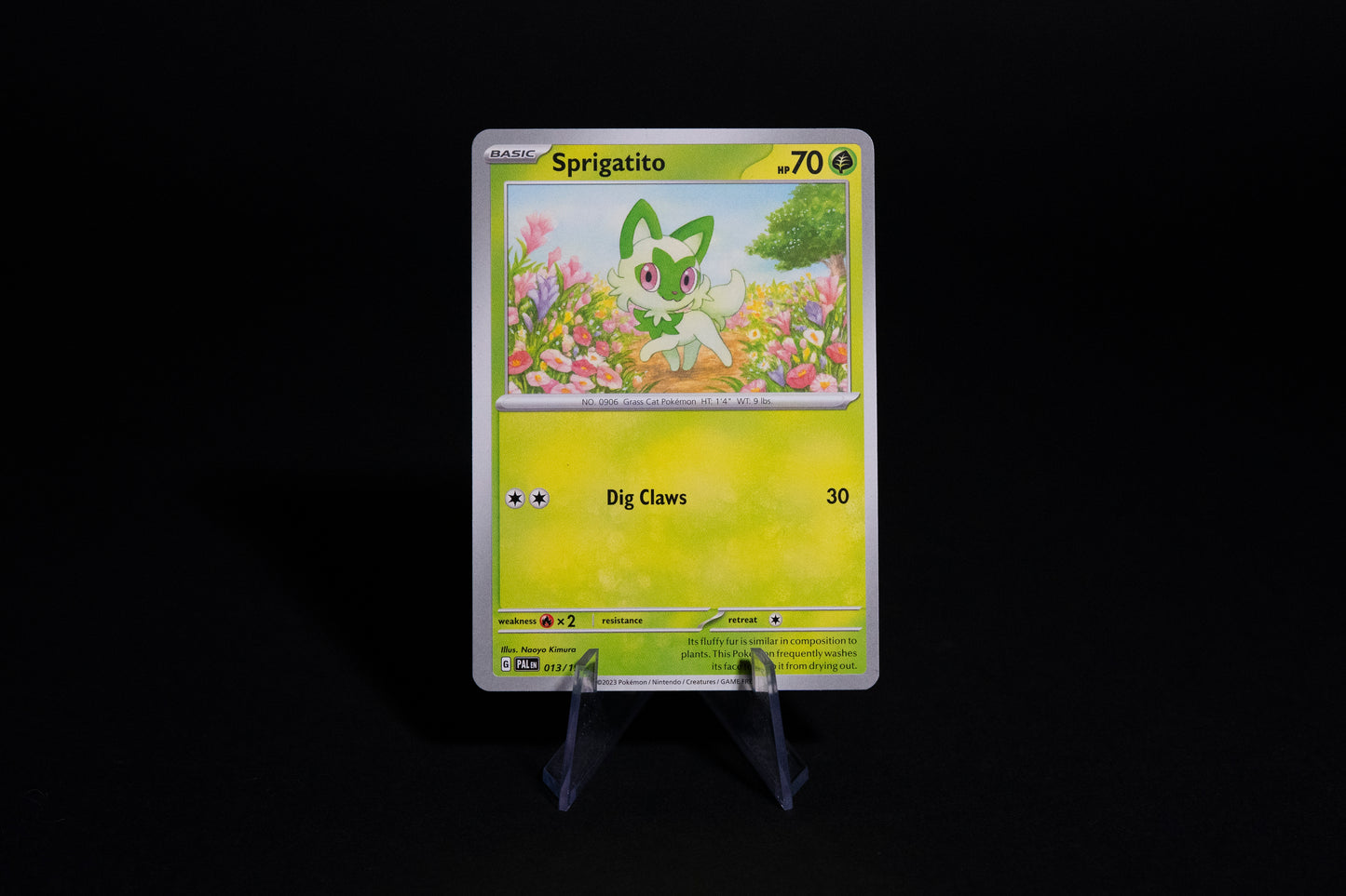 013/193, Sprigatito, Pokemon, Scarlet & Violet, Paldea Evolved, 2023, Common, Ungraded, English