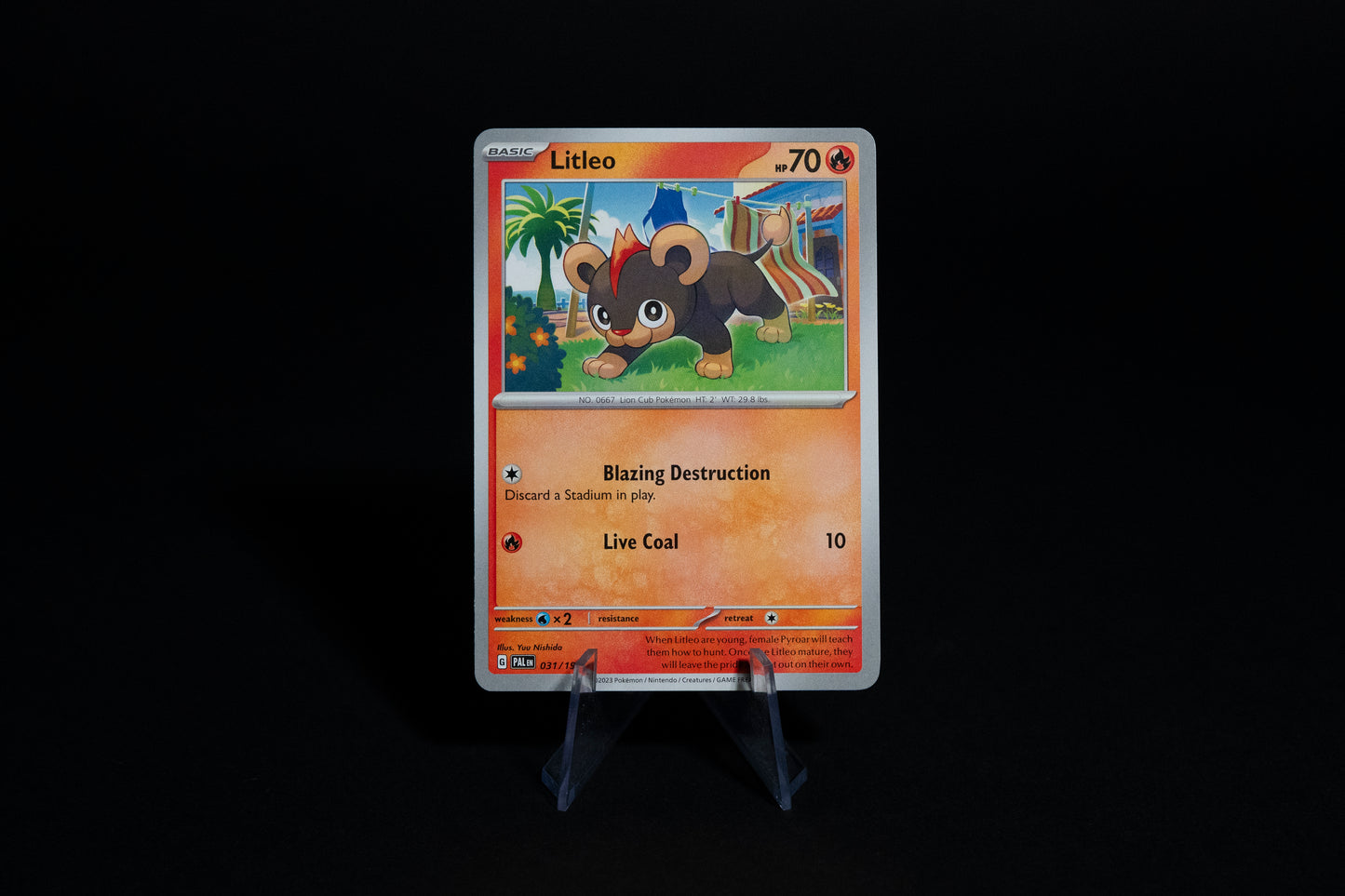 031/193, Litleo, Pokemon, Scarlet & Violet, Paldea Evolved, 2023, Common, Ungraded, English