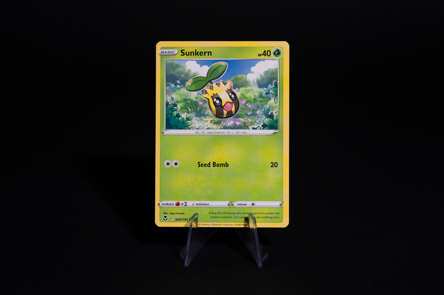 005/195, Sunkern, Pokemon, Silver Tempest, 2022, Common, Ungraded, English