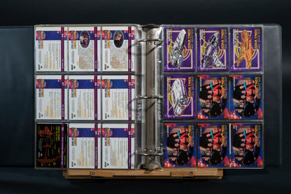 Star Trek : Deep Space Nine Premiere Trading Cards, SkyBox, 1993, Complete Base Set (1-100) PLUS 3 Spectra Cards in binder