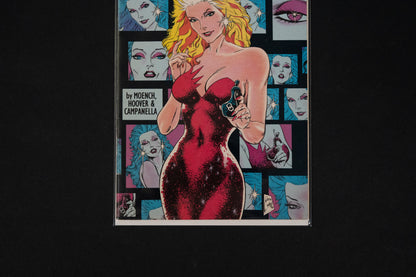 The Wanderers, #9 & 10, DC Comics, 1989