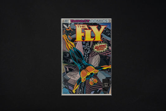 The Fly, #1, Impact Comics, 1991