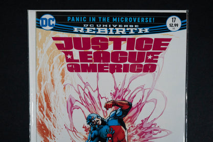 Justice League America, #17, DC Comics, 2017