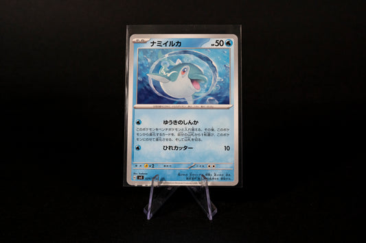 029/108, Finizen, Pokemon, Ruler of the Black Flame, SV3, 2023, Common, Ungraded, Japanese