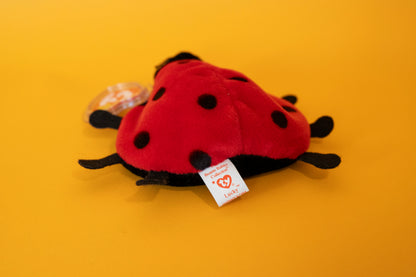 Lucky (Ladybird) - TY Beanie Babies - Tag in Protector - Excellent Condition