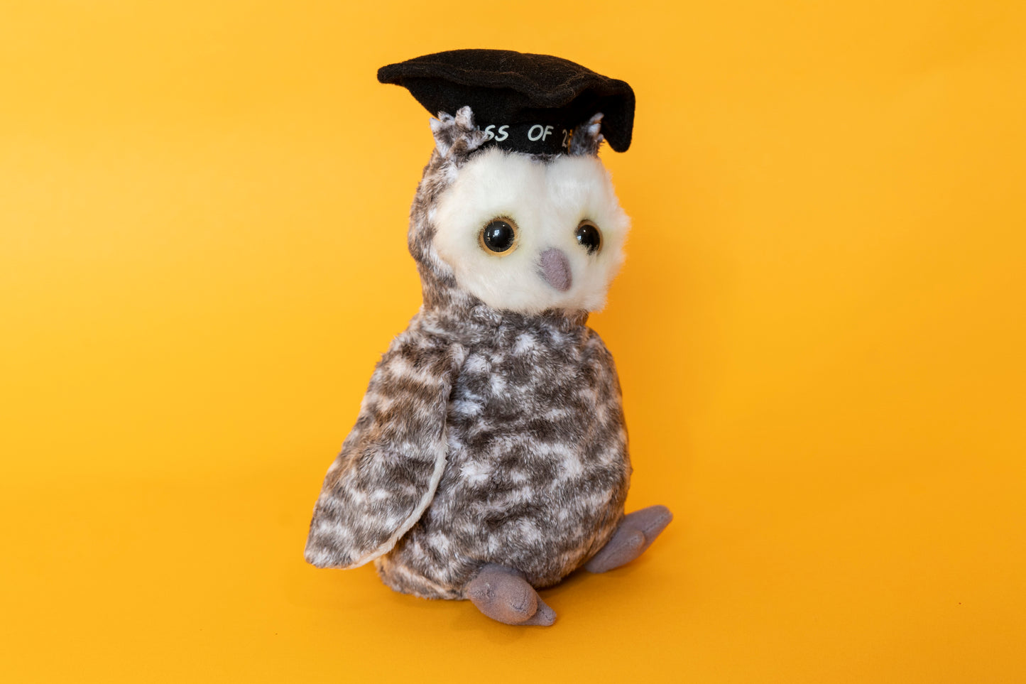 Smart (Owl Bird) - TY Beanie Babies - Tag in Protector - Good Condition