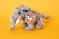 Pounds (Elephant) - TY Beanie Babies - Tag in Protector - Excellent Condition