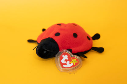 Lucky (Ladybird) - TY Beanie Babies - Tag in Protector - Excellent Condition