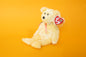 Sherbet (Yellow Bear) - TY Beanie Babies - Tag in Protector - Excellent Condition