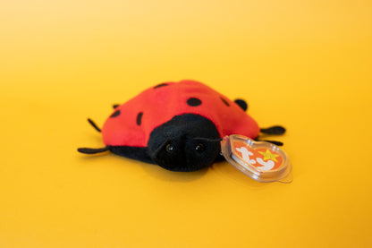 Lucky (Ladybird) - TY Beanie Babies - Tag in Protector - Excellent Condition