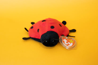 Lucky (Ladybird) - TY Beanie Babies - Tag in Protector - Excellent Condition