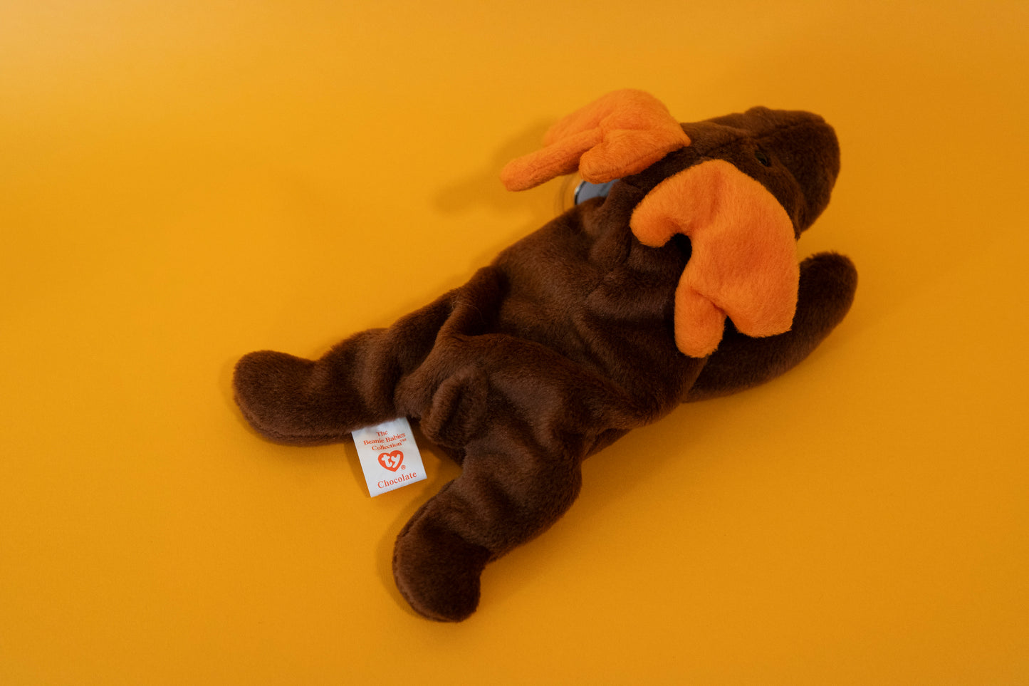 Chocolate (Moose) - TY Beanie Babies - PVC Pellets - Tag in Protector - Excellent Condition