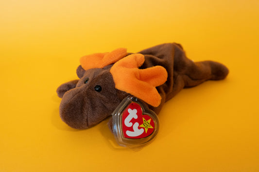 Chocolate (Moose) - TY Beanie Babies - PVC Pellets - Tag in Protector - Excellent Condition