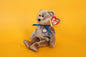 Clubby III (Official Club Bear) - TY Beanie Babies - Tag in Protector - Excellent Condition