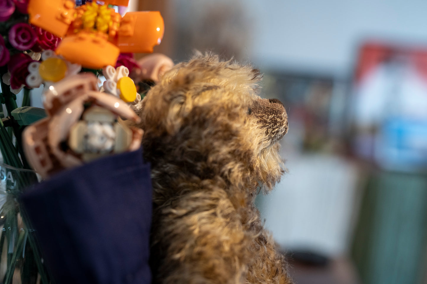 'Cotswold Cub' Mohair Teddy Bear - The Cub Collection, Cotswold Bear Co.,  Aprox. 28cm, Limited Edition 53 of 100, with dust bag