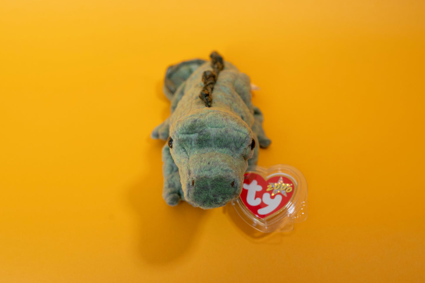 Swampy (Crocodile) - TY Beanie Babies - Tag in Protector - Excellent Condition