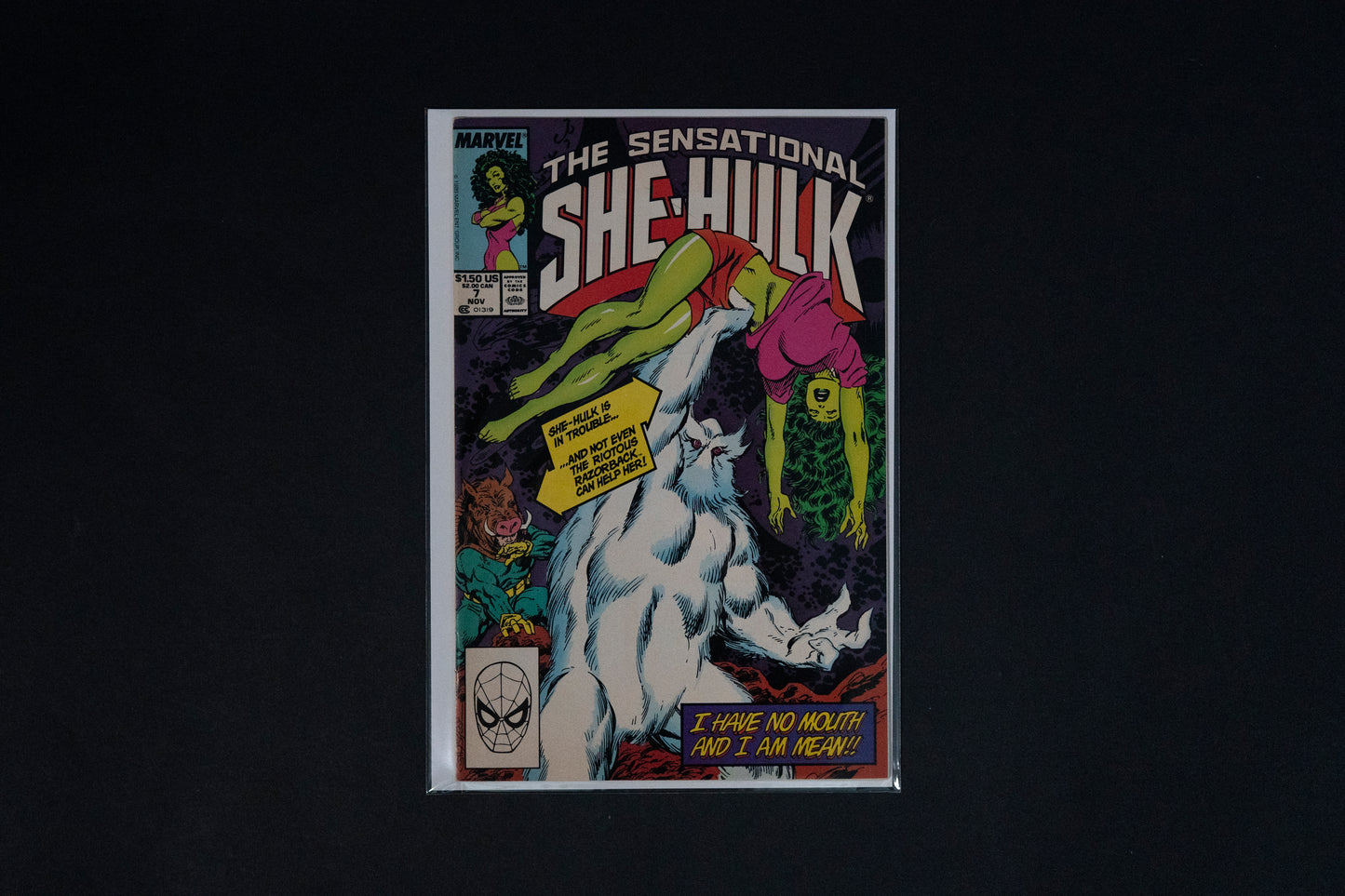 The Sensational She-Hulk, #1-13, Marvel Comics, 1989-1990