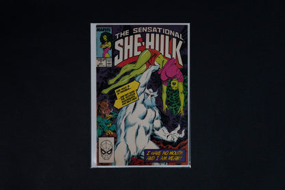 The Sensational She-Hulk, #1-13, Marvel Comics, 1989-1990