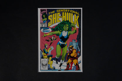 The Sensational She-Hulk, #1-13, Marvel Comics, 1989-1990