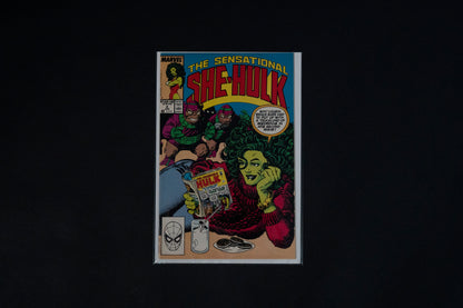 The Sensational She-Hulk, #1-13, Marvel Comics, 1989-1990