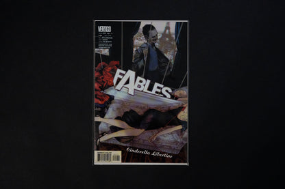 Fables, #18-29, Vertigo Comics, 2003 - 2004