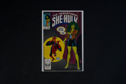 The Sensational She-Hulk, #1-13, Marvel Comics, 1989-1990