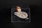 Millennium Falcon, Star Wars, DeAgostini, in acrylic case