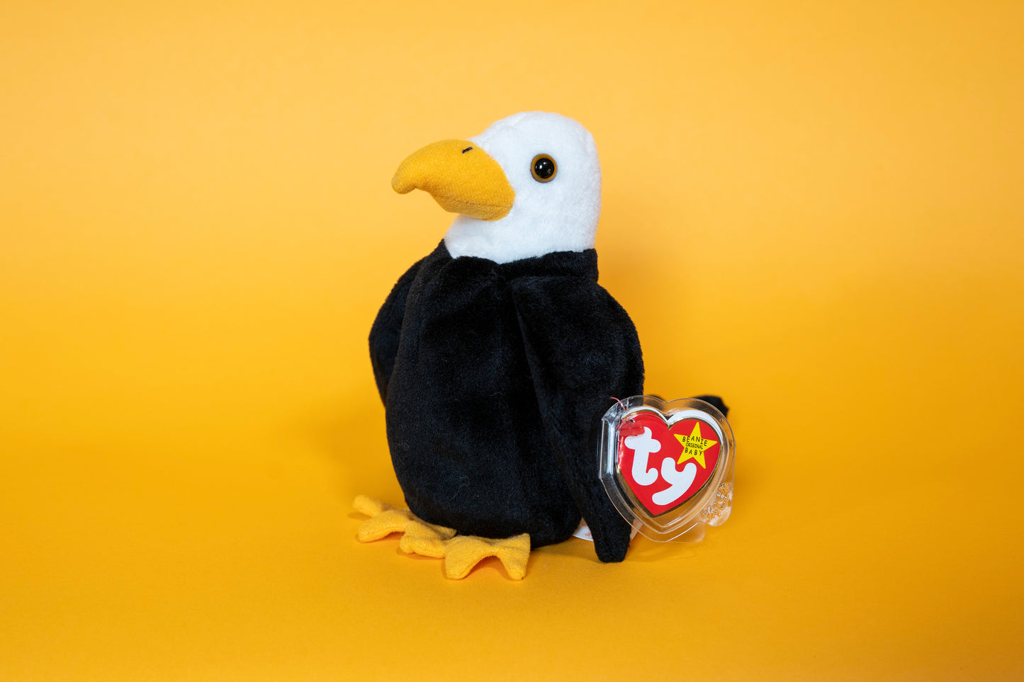 Baldy (Eagle, Bird) - TY Beanie Babies - Tag in Protector - Excellent Condition