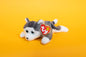 Nanook (Dog) - TY Beanie Babies - Tag in Protector - Excellent Condition