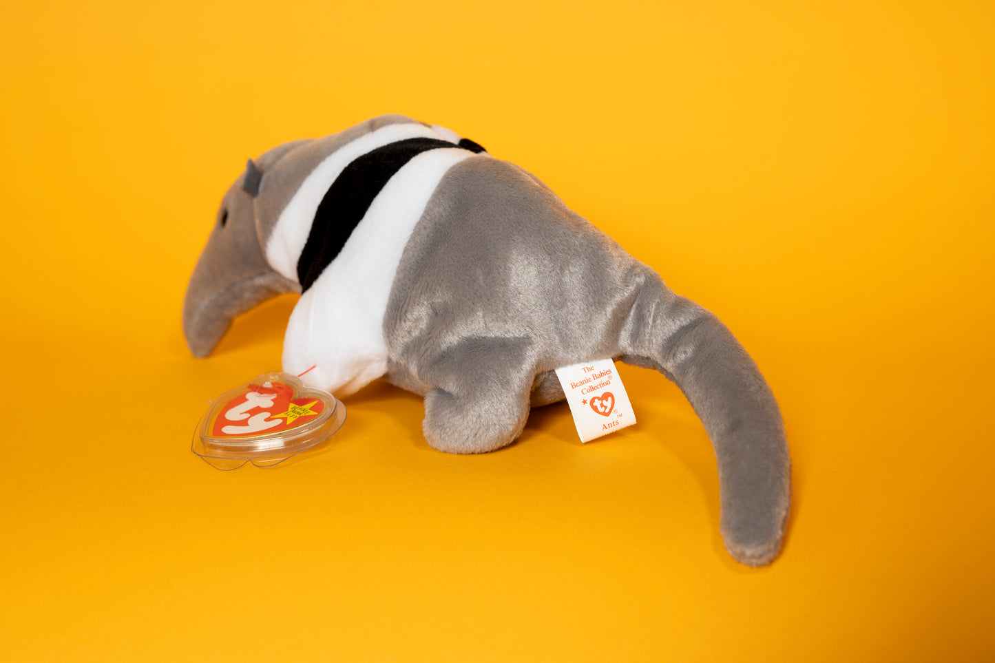 Ants (Anteater) - TY Beanie Babies - Tag in Protector - Excellent Condition