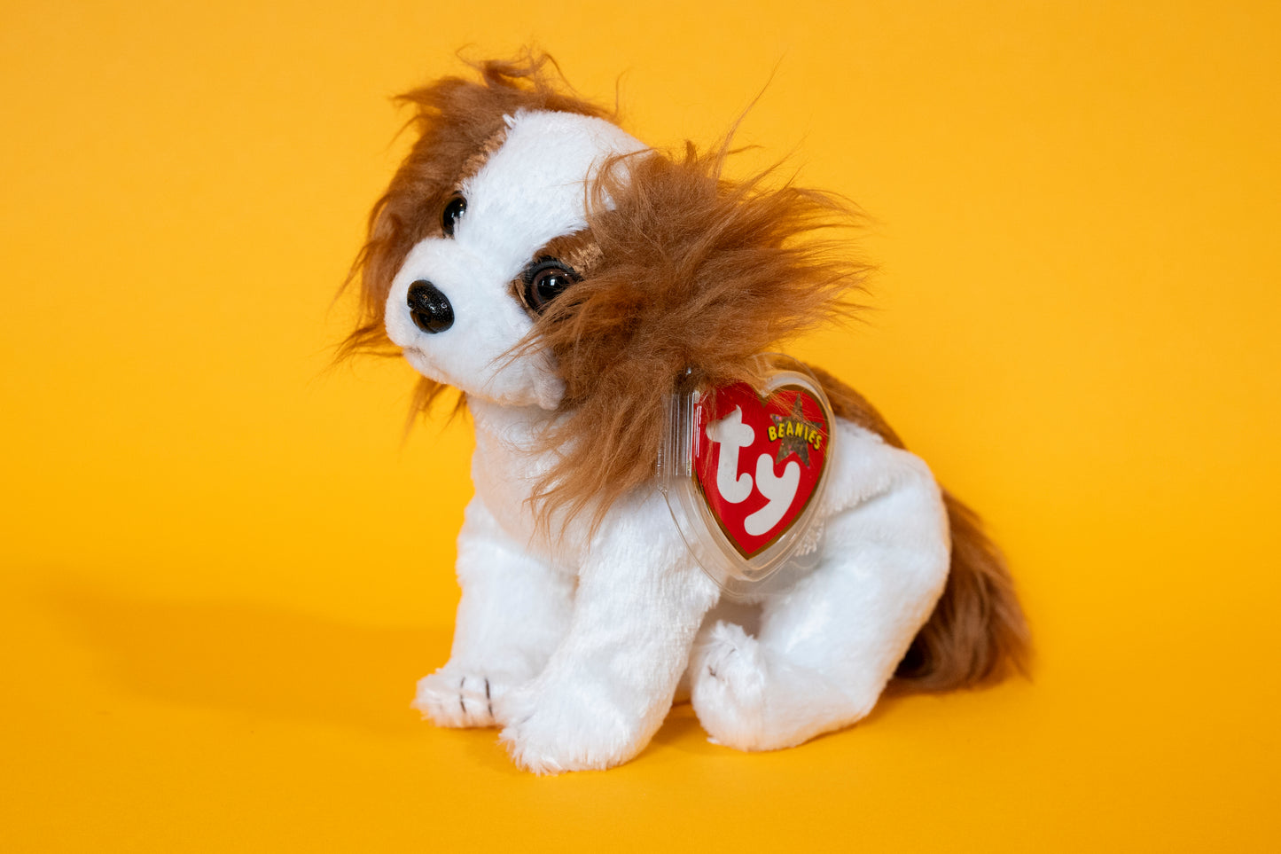 Regal (King Charles Spaniel Dog) - TY Beanie Babies - Tag in Protector - Excellent Condition