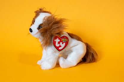 Regal (King Charles Spaniel Dog) - TY Beanie Babies - Tag in Protector - Excellent Condition