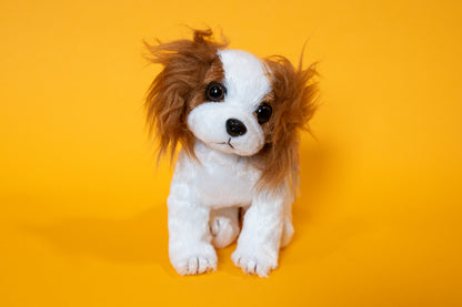 Regal (King Charles Spaniel Dog) - TY Beanie Babies - Tag in Protector - Excellent Condition