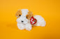 Darling (Dog) - TY Beanie Babies - Tag in Protector - Excellent Condition