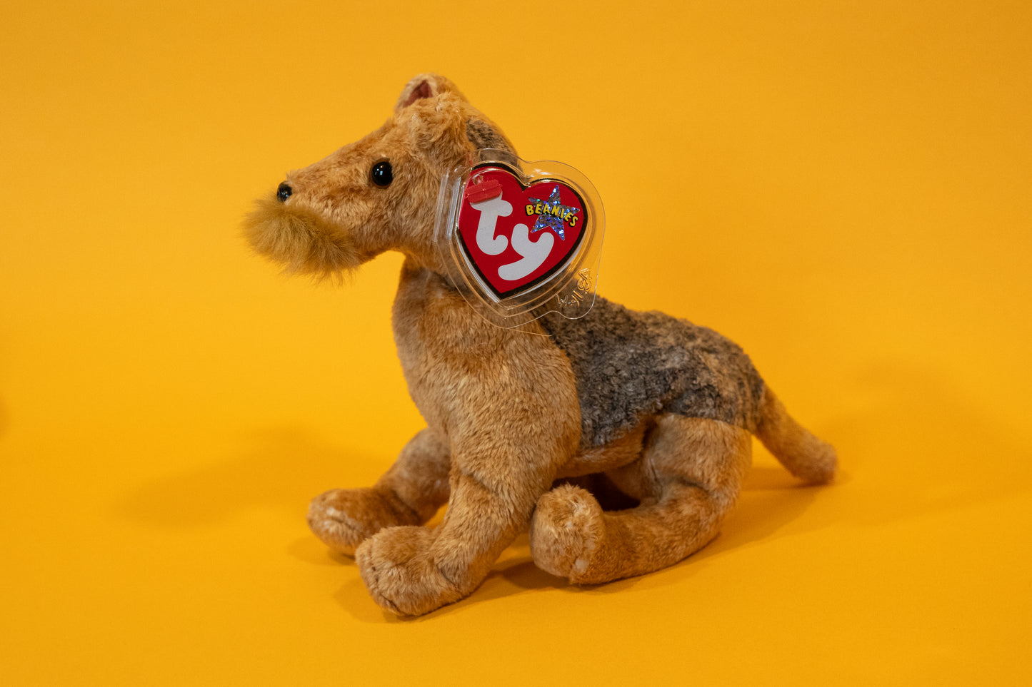 Whiskers (Terrier Dog) - TY Beanie Babies - Tag in Protector - Excellent Condition