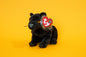 Midnight (Panther Cat) - TY Beanie Babies - Tag in Protector - Excellent Condition