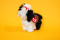 Poofie (Dog) - TY Beanie Babies - Tag in Protector - Excellent Condition