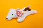 Butch (Dog) - TY Beanie Babies - Tag in Protector - Excellent Condition